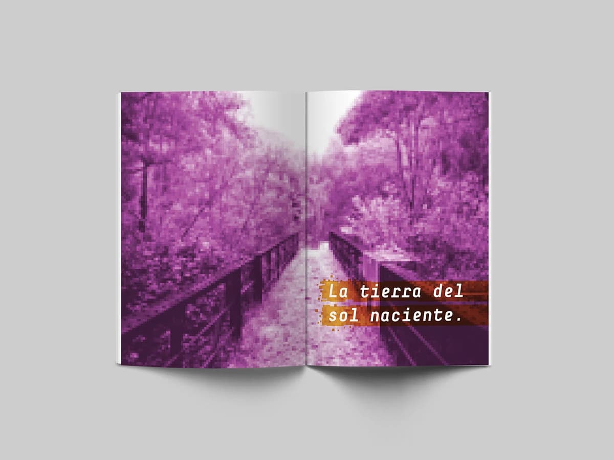 jet__LAG: 8
